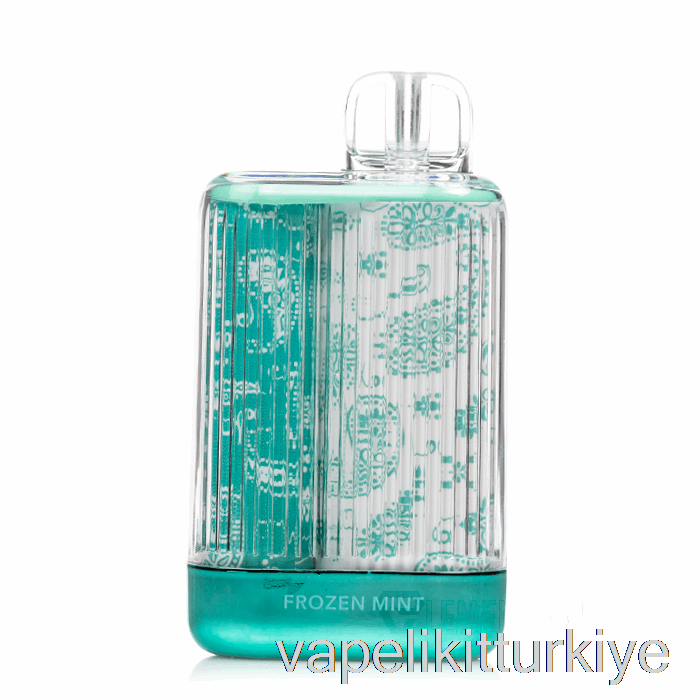 Elektronik Sigara Kalemi Vape Mate Sis X Berraklık 7000 Tek Kullanımlık Dondurulmuş Nane